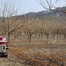 원재농장 이미지