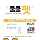 쿨쿨펫 네이버블로그