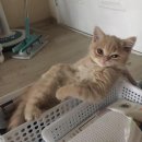 내일을 여는 교실(2) | 내일배움캠프 마케팅 부트캠프 TIL(18일차_26.01.28)