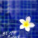 여기;봄 Daum카페