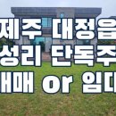 제주삼정부동산중개 네이버블로그