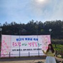 비실마을북카페 작은도서관 | 경기도 파주 벚꽃 명소 실시간 개화상황 두포천 밤고지마을