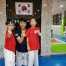 용인대 현대 태권도 이미지