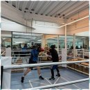 퍼블릭 복싱 이미지