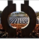 덕양농원 이미지