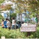 도산초교 이미지