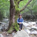 곰배령스케치 이미지