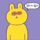 모코로코