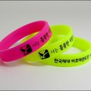 한국체대 비호태권도 이미지