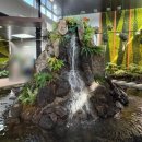 거제식물원 | 🌵( ́⌒ .̫ ⌒ ̀)੭ 푸릇푸릇 거제 식물원 관람 후기🌵