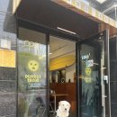 동키 | 정릉 애견동반 맛집｜성북구 타코 맛집 ‘동키타코스’ 후기(동반팁/메뉴추천)