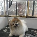 쓰담쓰담 이미지