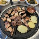 와 재밌다!
