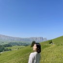 야생화길 | 돌로미티 야생화 천국 알페디시우시 6월 방문후기 꿀팁