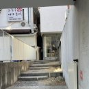 민들레하우스 | 합정 홍대 아늑한 공간과 귀여운 강아지가 있는 카페 <텀 커피하우스> 내돈내산 후기