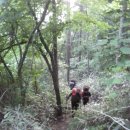 지리산 1편 ( 서북능선 ) - 마음의 길을 걷다. 이미지