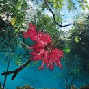 해양생물의 종 다양성이 가장 풍부한 Raja Ampat - 라자 암팟 이미지