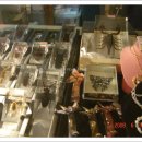 영월곤충박물관 이미지