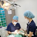 가우디치과의원 이미지