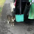 2506 | 2506 코리아CC 라운딩 후기