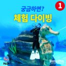 [공지] 체험다이빙 완벽 가이드｜버킷리스트 1위! 자격증 없이 서울에서 즐기는 스쿠버다이빙 체험...