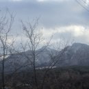 연화오토 이미지