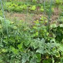 오곡농장 이미지