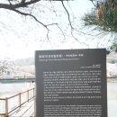 골정지 | <육아일기> 당진 골정지 방문후기 (벚꽃과 함께, with7개월 아가) 26년 4월 8일 방문!!(지금가세요...