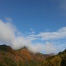 산수화농장 이미지