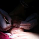 연세키즈사랑치과의원 이미지