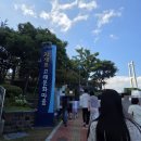 푸드카트 | 장생포 수국축제 | 웨일즈카트 후기 | 수국축제에서 웨일즈카트 타기