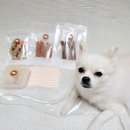 뚜드림 율하점 네이버블로그