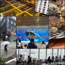 해양곰장어 | 국립해양박물관 아이와 비오는날 부산 영도 코스 총정리