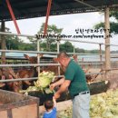 성환엘크사슴농장 이미지