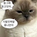 오산마트