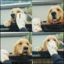 에어타임 이미지