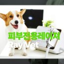 (주)바로벳 | 레이벳 피부전용 레이져 치료기