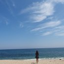 진보양푼이물회 이미지