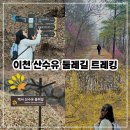 이천여행사 | 이천 백사 산수유마을 봄꽃 트레킹 승우여행사 당일치기 여행