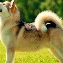 해운대동물메디컬센터 이미지