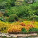 팔공산한의원 이미지