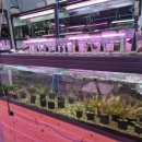 광원수족관 이미지