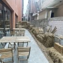 섬타르 서울숲 이미지