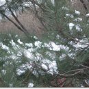 구룡산정상 이미지