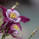 상일세탁소 이미지