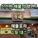 거창읍-6 | #74 경남 거창. “등대” 신선한 해산물과 포차분위기 맛집 !! 내돈내산 솔직후기