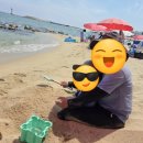 (주)코리아세븐 경포파도점 | 강릉 영진해변 6살 아이와 다녀온 후기 🏖