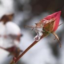 엄마네손맛 이미지