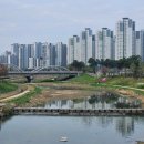 칸타타(나) | 스윗코하롱 답례품 전문점 아르바이트 일상과 생각 기록 부활절 성가대 칸타타 선물 당충전