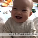 윤태하 카카오 검색결과